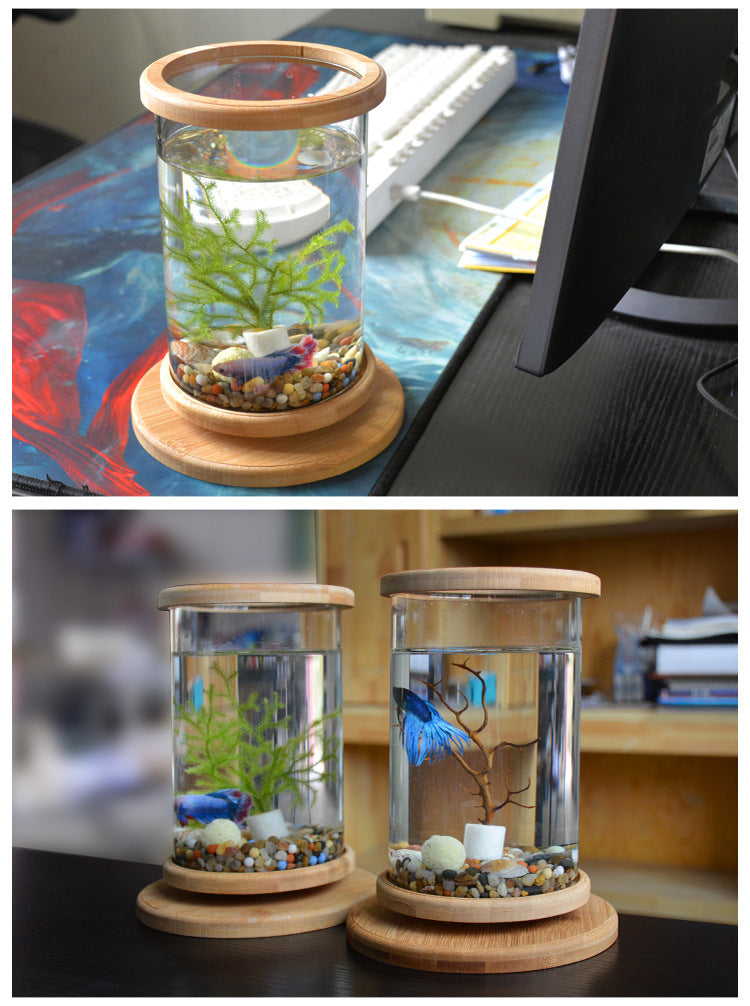 Small Office Glass Aquarium Fish Bowl