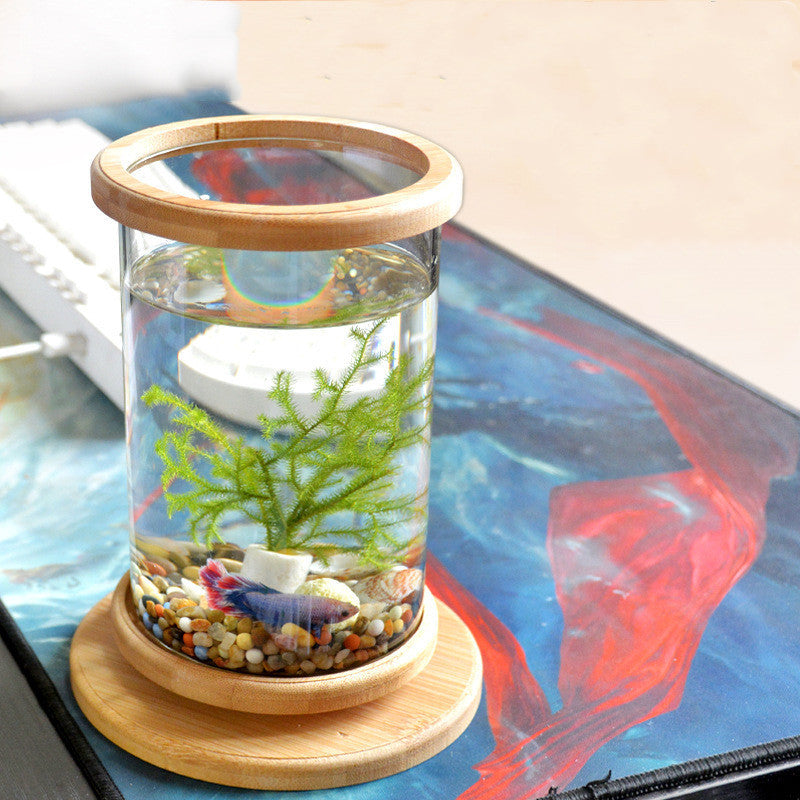 Small Office Glass Aquarium Fish Bowl