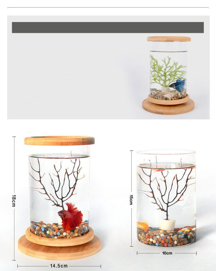Small Office Glass Aquarium Fish Bowl
