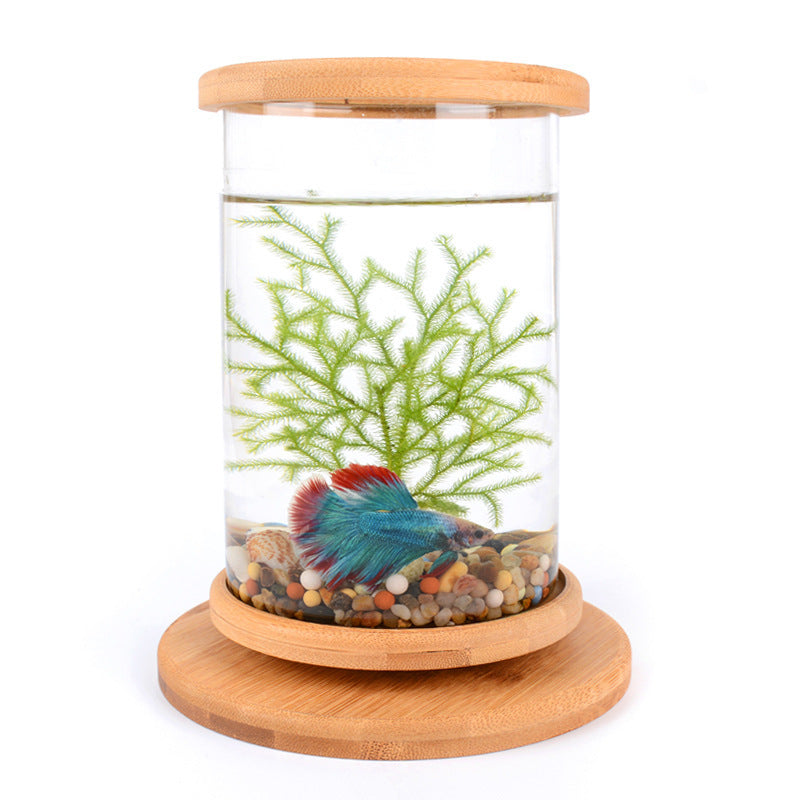 Small Office Glass Aquarium Fish Bowl