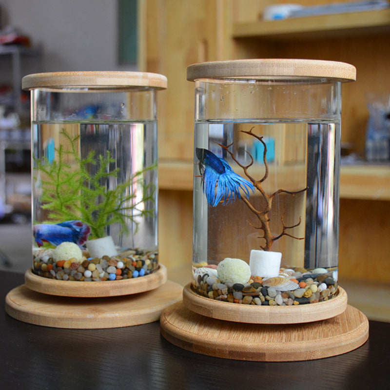 Small Office Glass Aquarium Fish Bowl